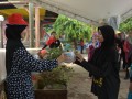 Tn DSC 7799